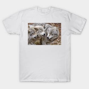 Timber Wolves T-Shirt